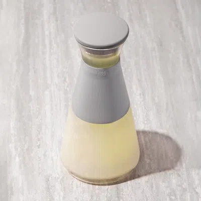 Host Glass Freeze Carafe With Lid In Gray In Clear