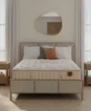 Hotel Natural Collection By King Koil Lotus 16" Trim Line Medium Mattress, Queen, Exclusively At Macy's In Transparent