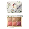 Hourglass Ambient Lighting Edit Unlocked Palette