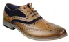 House Of Cavani Mens Classic Navy Suede Oxford Brogue Shoes In Tan Leather In Multi