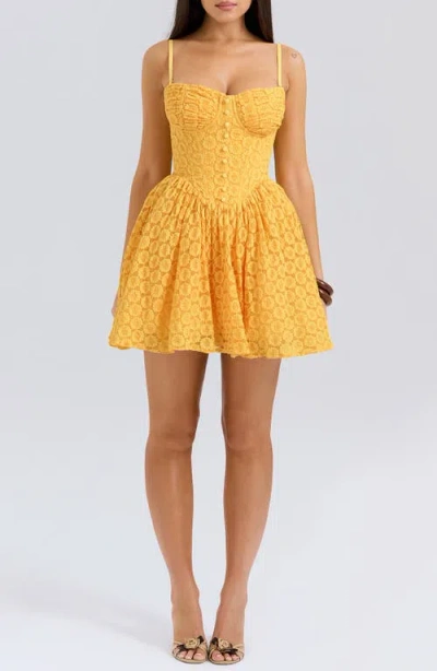 House Of Cb Carolina Stretch Lace Corset Minidress In Apricot