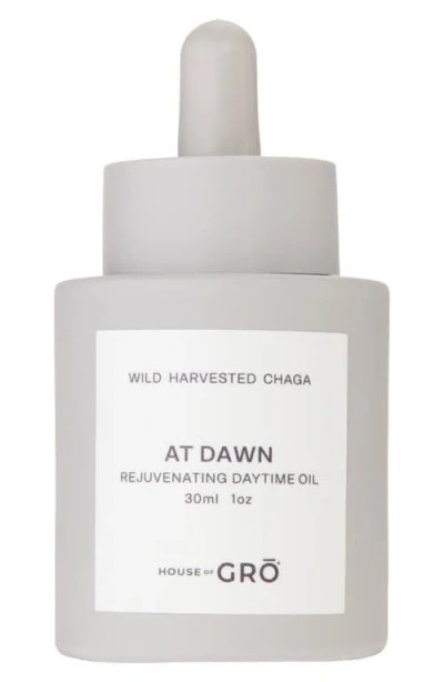 House Of Gro House Of Grō At Dawn Rejuvenating Daytime Oil