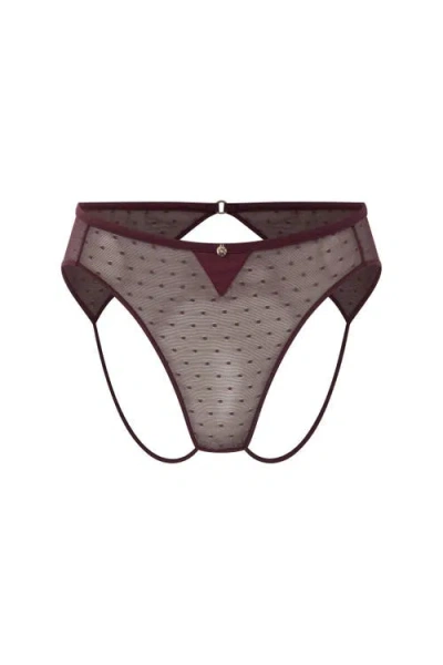 House Of Silk Matilda Ouvert Lace Panties In Brown