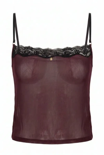 House Of Silk Rouge Amour Camisole Set In Burgundy