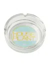 Houseplant Glass Ashtray In Blue  Logo