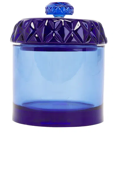 Houseplant Glass Stash Jar In Blue