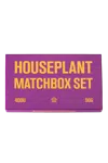 Houseplant Matchbox Set In Multi