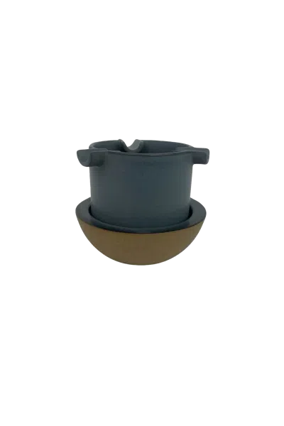 Houseplant Party Ashtray By Seth Rogen Blue