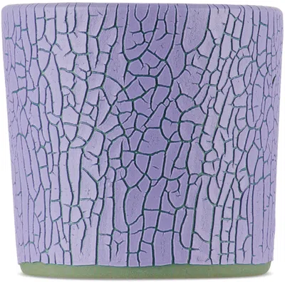 Houseplant Purple Crackle Candle By Seth, 13 oz