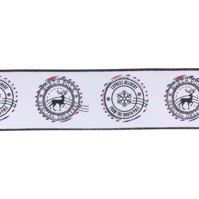 Houzbling 4" X 5 Yds. Ribbon (set Of 2) Wired Cotton In White
