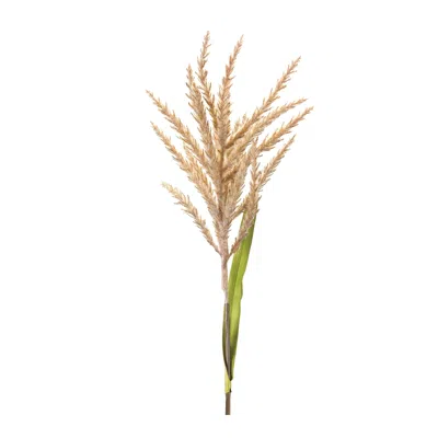 Houzbling Astilbe Stem (set Of 12) 34"h Plastic/polyester