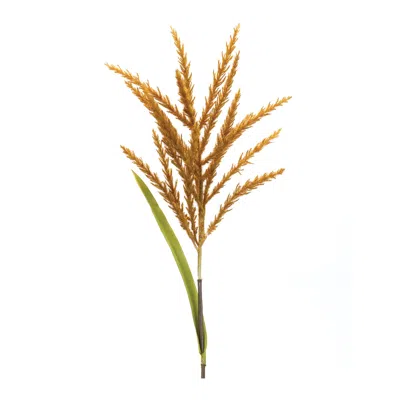 Houzbling Astilbe Stem (set Of 12) 34"h Plastic/polyester In Brown