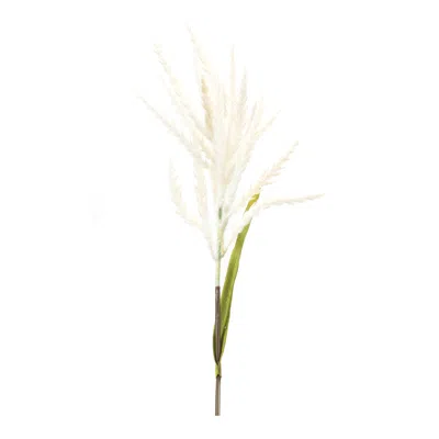 Houzbling Astilbe Stem (set Of 6) 34"h Plastic/polyester In White