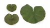 Houzbling Bag Of 34 Leaves (set Of 12) 3", 5" Polyester