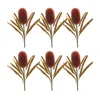 Houzbling Banksia Stem (set Of 6) 24"h Plastic