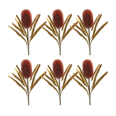 Houzbling Banksia Stem (set Of 6) 24"h Plastic