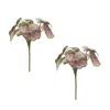 Houzbling Begonia Leaf (set Of 2) 11.5"h Polyester