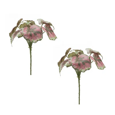 Houzbling Begonia Leaf (set Of 2) 11.5"h Polyester