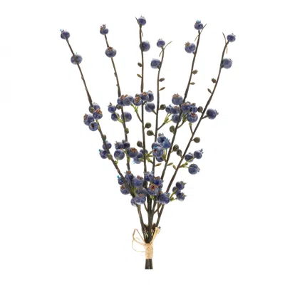 Houzbling Berry Bundle (set Of 6) 14"h Plastic