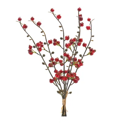 Houzbling Berry Bundle (set Of 6) 14"h Plastic