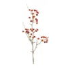 Houzbling Berry Pod Spray (set Of 6) 26"h Foam/plastic