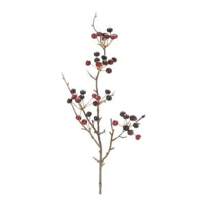 Houzbling Berry Pod Spray (set Of 6) 26"h Foam/plastic In Brown