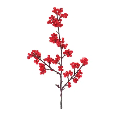 Houzbling Berry Spray (set Of 6) 23"h Foam/plastic In Black