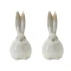 Houzbling Bunny (set Of 2) 11.75"h Terra Cotta