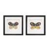 Houzbling Butterfly Block (set Of 2) 6"sq Wood/acrylic