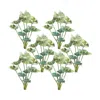 Houzbling Caladium Bush (set Of 6) 18.5"h Polyester