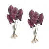 Houzbling Caladium Plant (set Of 2) 22.25"h Polyester