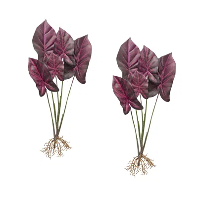 Houzbling Caladium Plant (set Of 2) 22.25"h Polyester