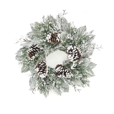 Houzbling Cedar/magnolia Leaf Wreath 22"d In White
