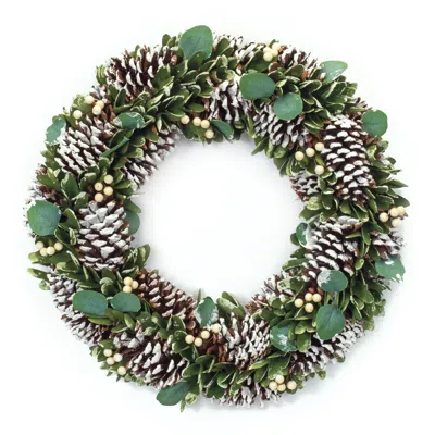 Houzbling Cone And Berry Wreath 20"d Foam/cone In Green
