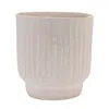 Houzbling Container 7.5"d X 7.5"h Recycled Paper/chalk Powder