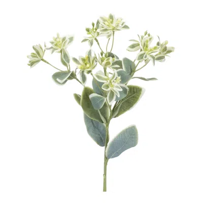 Houzbling Euphorbia Spray (set Of 6) 18.5"h Polyester