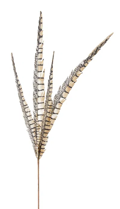 Houzbling Faux Feather 29"h (set Of 12) Polyester In Neutral