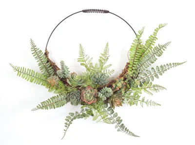 Houzbling Fern And Succulent Wall Decor 24.5" X 19.25"h Plastic/wire In Multi
