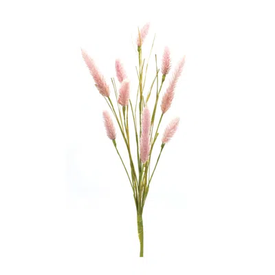 Houzbling Foxtail Spray (set Of 6) 21.25"h Plastic In Pink