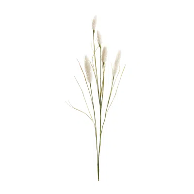 Houzbling Foxtail Spray (set Of 6) 33.5"h Plastic