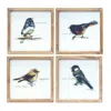 Houzbling Framed Bird Print (set Of 4) 9.5"sq Mdf/wood