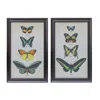 Houzbling Framed Butterfly Print (set Of 2) 11.25"l X 18.25"h Wood/glass