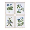 Houzbling Framed Floral Print (set Of 4) 13.75"l X 17.5"h Wood/mdf/glass