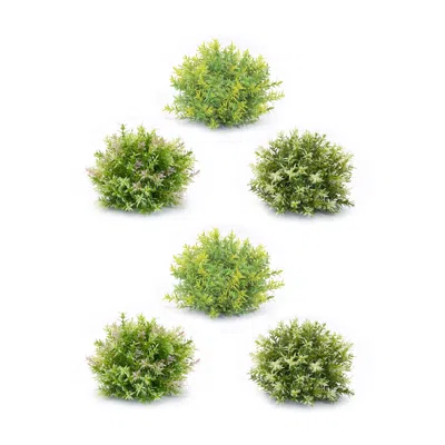 Houzbling Half Orb (set Of 6) 10"d X 8"h Plastic
