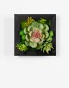 Houzbling Hanging Succulent Wall Decor (set Of 6) Plastic