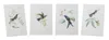 Houzbling Hummingbird Print (set Of 4) 5.5"l X 8"h Wood/mdf/paper