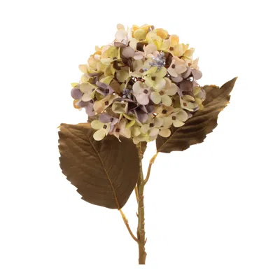 Houzbling Hydrangea Stem (set Of 6) 21"h Polyester In Brown