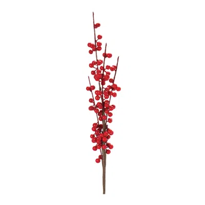 Houzbling Ilex Berry Stem (set Of 6) 27"h Foam