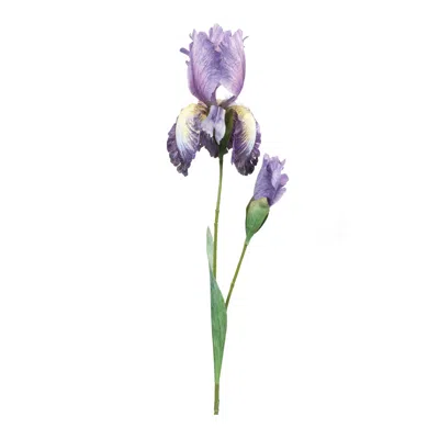 Houzbling Iris Spray (set Of 2) 32.5"h Polyester