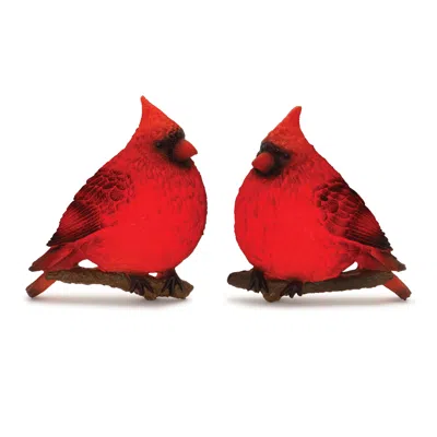 Houzbling Led Cardinal Wall Accent (set Of 2) 9.5"l X 11"h Resin 3 Aaa Batteries, Not Included In Blue